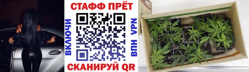 Купить наркотик аптеки Михайловка ГАШ