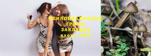 кристаллы Ладушкин