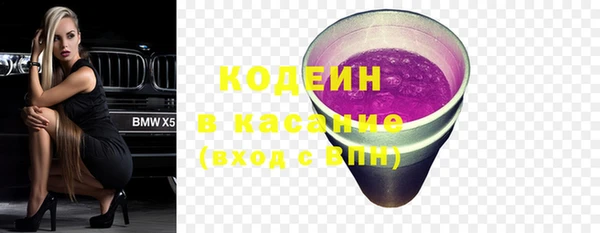 ГАЛЛЮЦИНОГЕННЫЕ ГРИБЫ Лагань