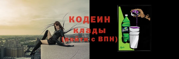 ГАЛЛЮЦИНОГЕННЫЕ ГРИБЫ Лагань
