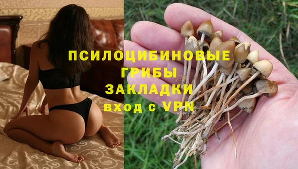 гидра Краснотурьинск