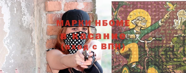 ГАЛЛЮЦИНОГЕННЫЕ ГРИБЫ Лагань