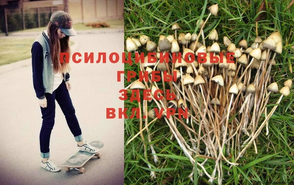 гидра Краснотурьинск
