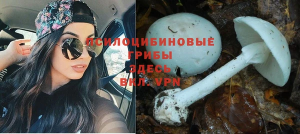 кристаллы Ладушкин