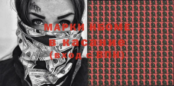 ГАЛЛЮЦИНОГЕННЫЕ ГРИБЫ Лагань