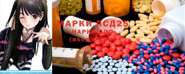 ГАЛЛЮЦИНОГЕННЫЕ ГРИБЫ Лагань
