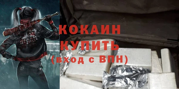 ГАЛЛЮЦИНОГЕННЫЕ ГРИБЫ Лагань