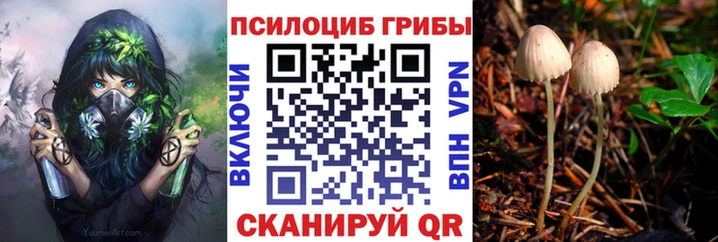 Галлюциногенные грибы мухоморы  ссылка на мегу как войти  Михайловка 